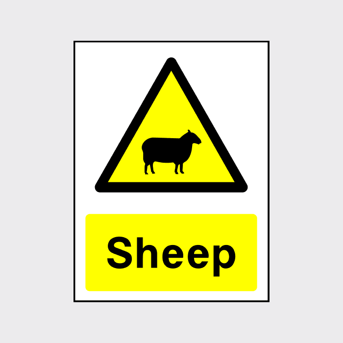 Sheep Warning Sign