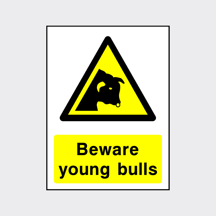 Beware Young Bulls Sign