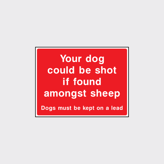 Your dog could be shot sign